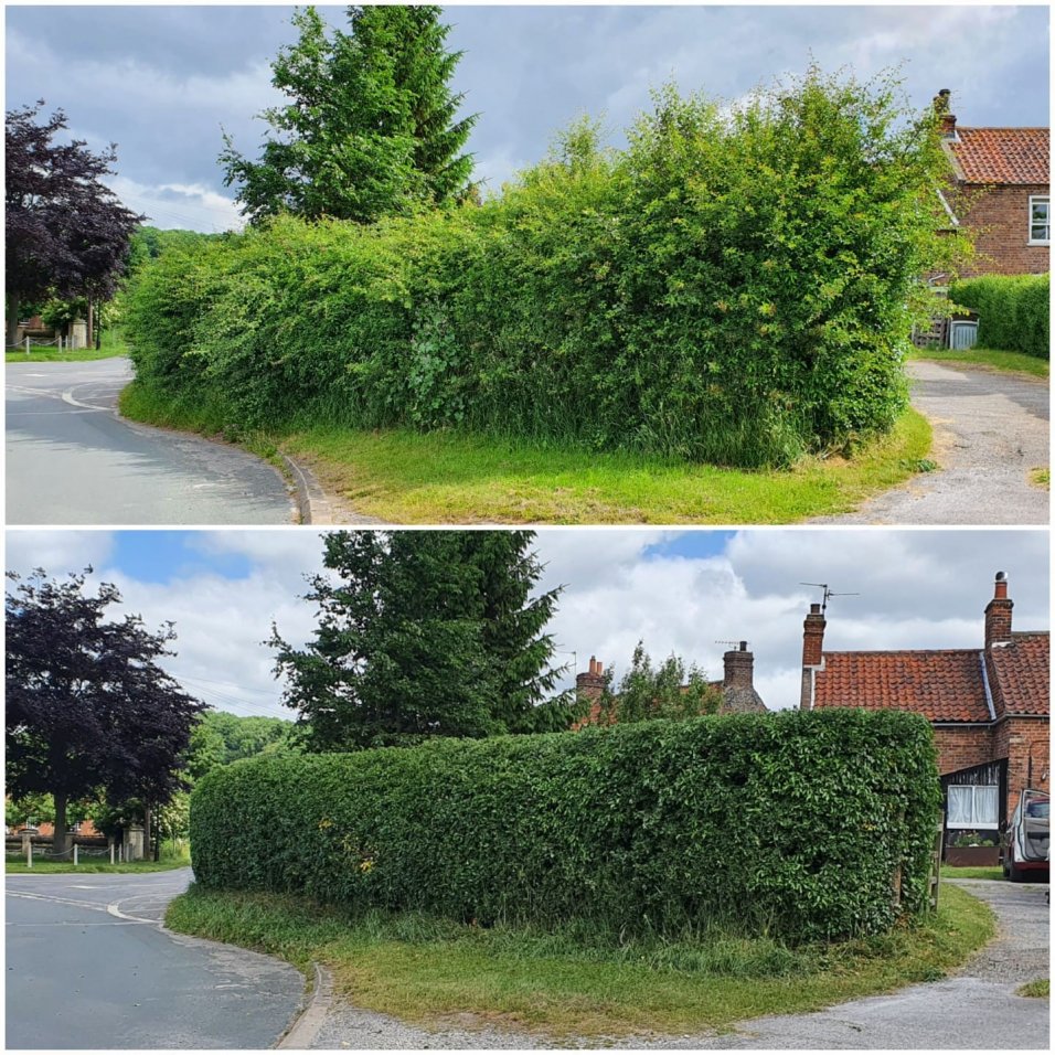 a little about Buckinghamshire Gardening Co  